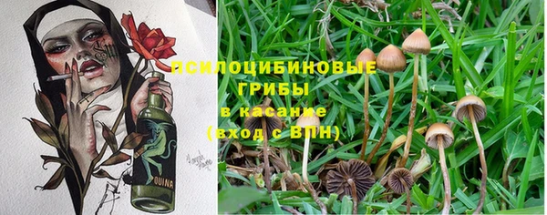 каннабис Заволжье