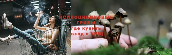 прущие крисы Заводоуковск