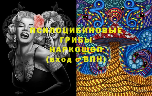 прущие крисы Заводоуковск