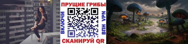 Купить где  Красный Кут  Галлюциногенные грибы MAGIC MUSHROOMS 