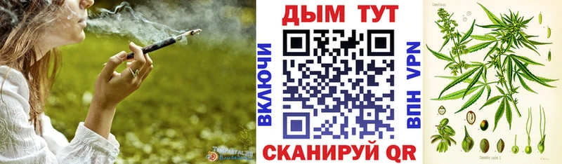 Купить закладки  Красный Кут  Канабис гибрид 